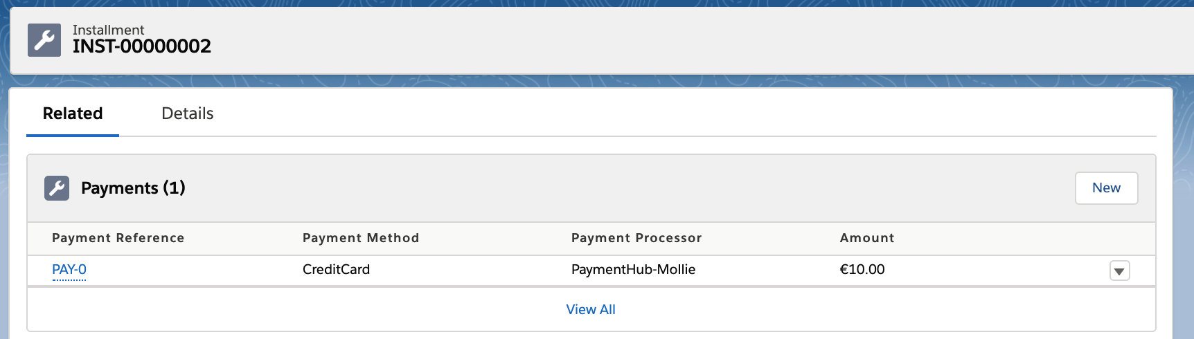 Payment API_payment_installment_payment record