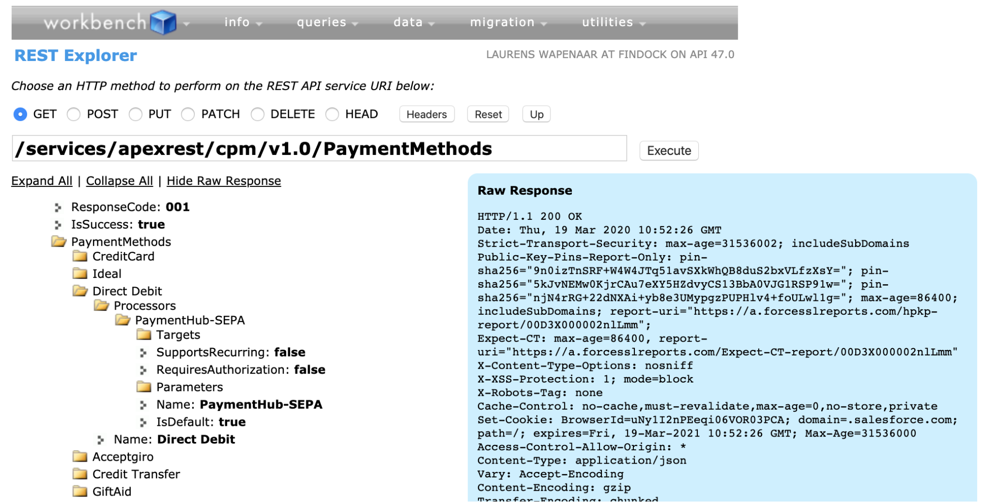 Salesforce Workbench Payment API testing